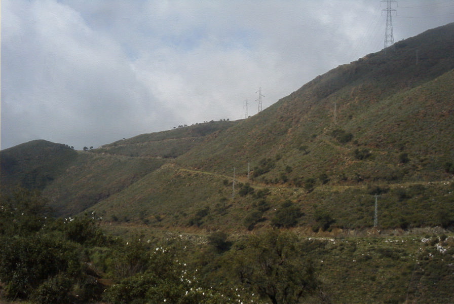 2006-04-15-018-View