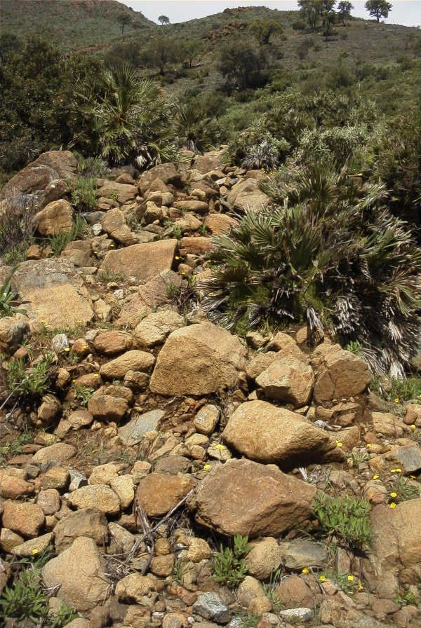 2006-04-15-021-View
