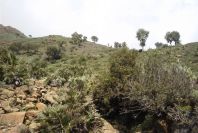 2006-04-15-023-View