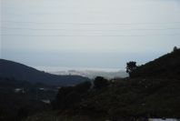 2006-04-15-051-View