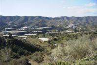 2006-12-22-013-Rincon-de-la-Victoria