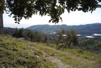 2006-12-22-016-Rincon-de-la-Victoria