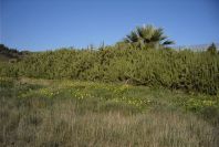 2006-12-24-025-Beach