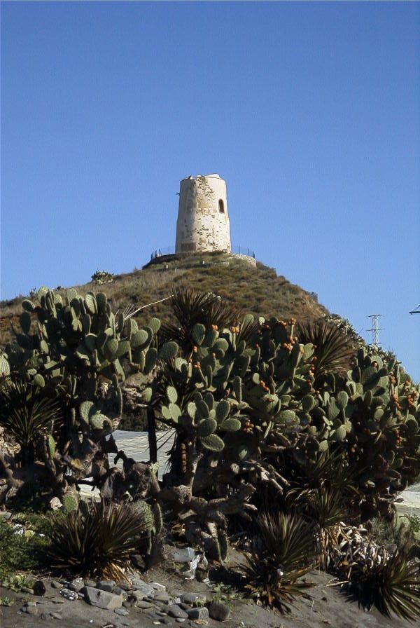 2006-12-24-028-Torre