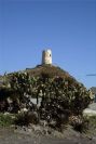 2006-12-24-029-Torre