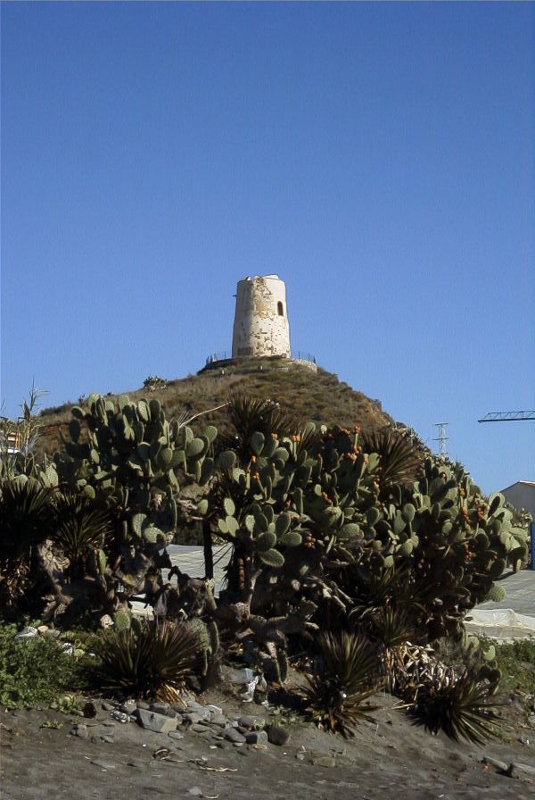 2006-12-24-029-Torre