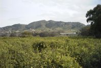 2006-12-26-013-Alora