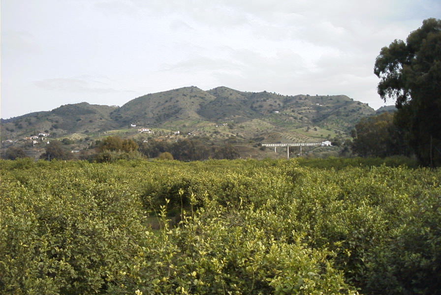2006-12-26-013-Alora