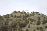 2006-12-26-018-Alora