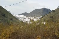 2006-12-26-019-Alora