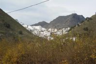 2006-12-26-020-Alora