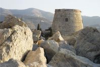 2006-12-29-002-Torre