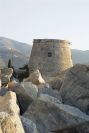 2006-12-29-003-Torre