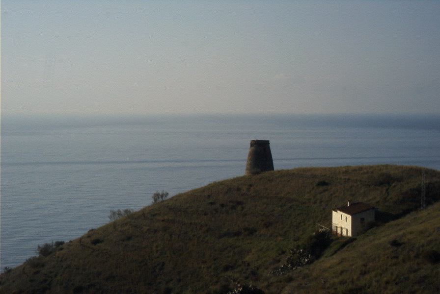 2006-12-29-005-Torre