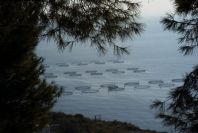 2006-12-29-007-Fish-Farming