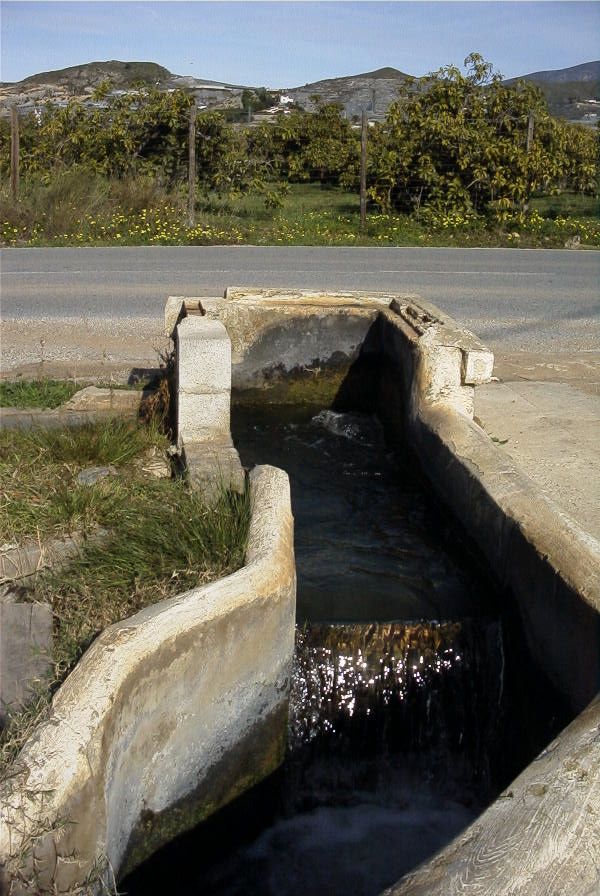 2007-02-11-004-Levada