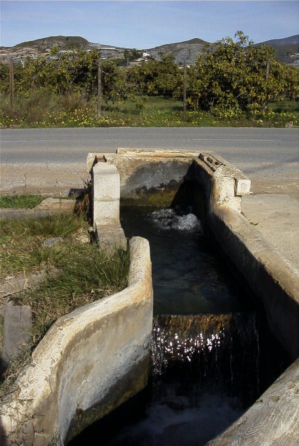 2007-02-11-005-Levada