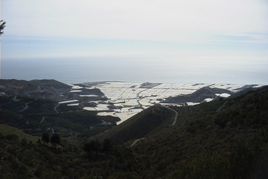 2007-02-11-024-Plasticos