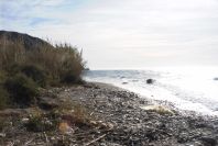 2007-02-12-024-Sea