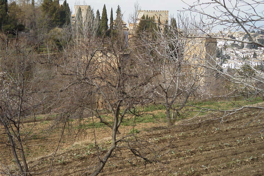 2007-02-14-006-Granada-Alhambra