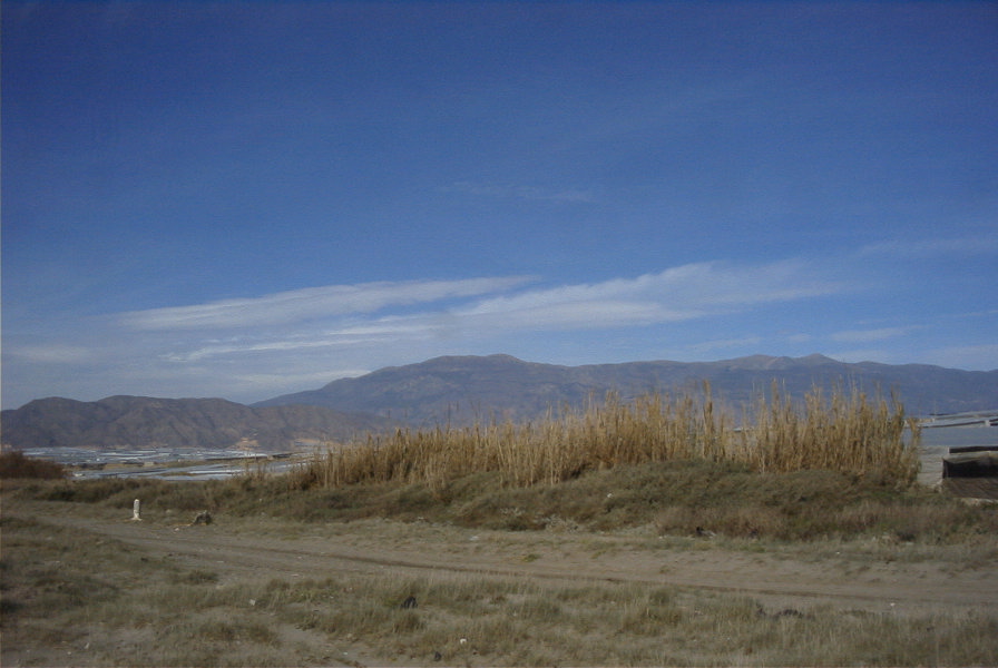 2007-02-15-037-Sierra-nevada