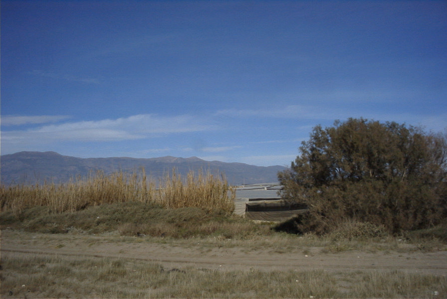 2007-02-15-038-Sierra-nevada