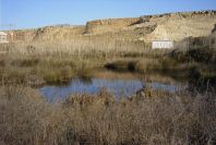 2007-02-16-013-Marismas-de-las-Entinas