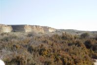 2007-02-16-017-Marismas-de-las-Entinas