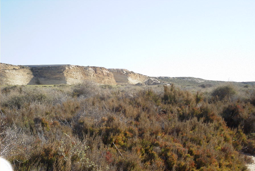 2007-02-16-017-Marismas-de-las-Entinas