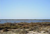 2007-02-16-019-Marismas-de-las-Entinas