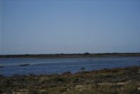 2007-02-16-020-Marismas-de-las-Entinas