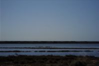 2007-02-16-021-Marismas-de-las-Entinas