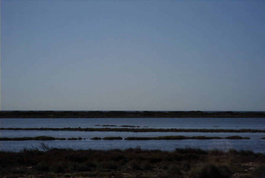 2007-02-16-021-Marismas-de-las-Entinas