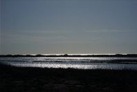 2007-02-16-022-Marismas-de-las-Entinas