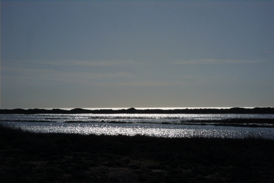 2007-02-16-022-Marismas-de-las-Entinas