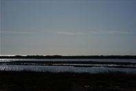 2007-02-16-023-Marismas-de-las-Entinas