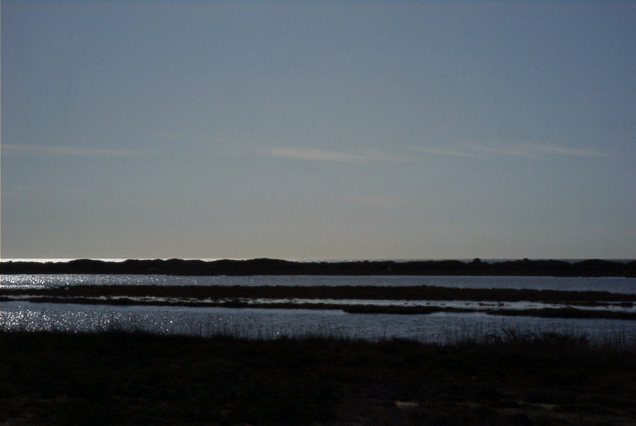 2007-02-16-023-Marismas-de-las-Entinas
