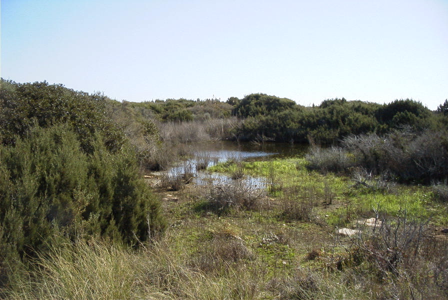 2007-02-16-040-Marismas-de-las-Entinas