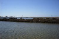 2007-02-16-044-Marismas-de-las-Entinas