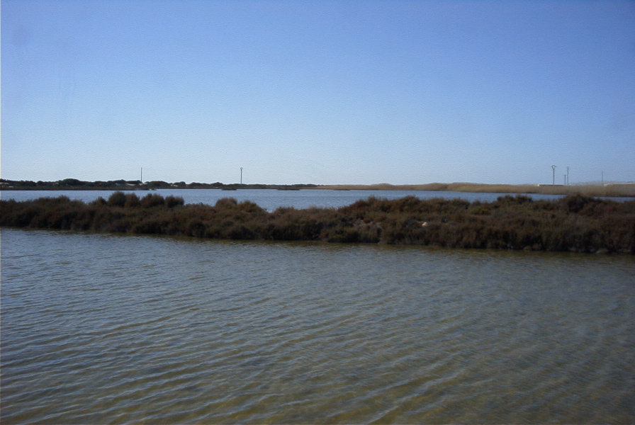 2007-02-16-044-Marismas-de-las-Entinas