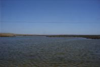 2007-02-16-045-Marismas-de-las-Entinas