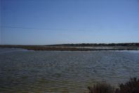 2007-02-16-046-Marismas-de-las-Entinas