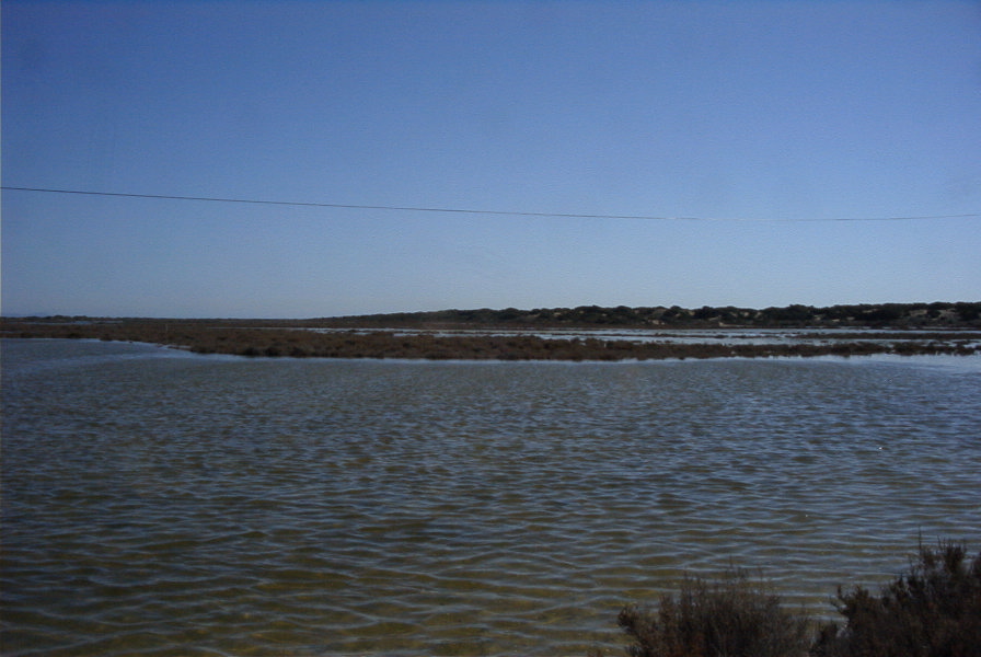 2007-02-16-046-Marismas-de-las-Entinas