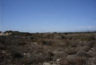 2007-02-16-049-Marismas-de-las-Entinas