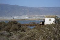 2007-02-16-050-Flamingos