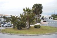 2007-04-01-029-Aguadulce