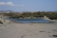 2007-04-03-045-Marismas