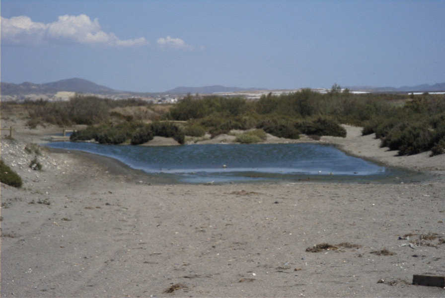 2007-04-03-045-Marismas