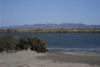 2007-04-03-046-Marismas