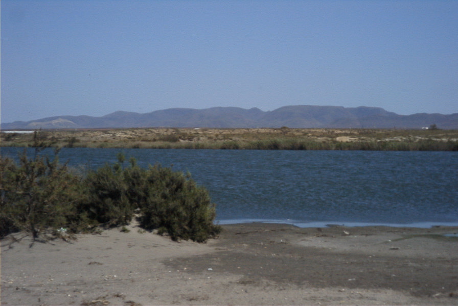 2007-04-03-046-Marismas